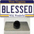 Blessed West Virginia Wholesale Novelty Metal Hat Pin