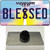 Blessed Mississippi Wholesale Novelty Metal Hat Pin