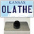 Olathe Kansas Wholesale Novelty Metal Hat Pin