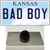 Bad Boy Kansas Wholesale Novelty Metal Hat Pin