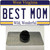 Best Mom West Virginia Wholesale Novelty Metal Hat Pin