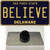 Believe Delaware Wholesale Novelty Metal Hat Pin