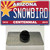 Arizona Centennial Snowbird Wholesale Novelty Metal Hat Pin