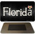 Florida Flag Script Novelty Metal Magnet M-9447