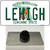 Lehigh FL Wholesale Novelty Metal Hat Pin