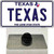 Texas Wholesale Novelty Metal Hat Pin