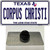 Corpus Christi Texas Wholesale Novelty Metal Hat Pin