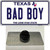 Bad Boy Texas Wholesale Novelty Metal Hat Pin