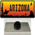Cowboy Arizona Scenic Wholesale Novelty Metal Hat Pin