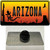 Lizard Arizona Scenic Wholesale Novelty Metal Hat Pin