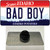 Bad Boy Idaho Wholesale Novelty Metal Hat Pin