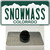 Snowmass Colorado Wholesale Novelty Metal Hat Pin