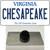 Chesapeake Virginia Wholesale Novelty Metal Hat Pin