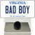 Bad Boy Virginia Wholesale Novelty Metal Hat Pin