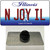 N Joy IL Illinois Wholesale Novelty Metal Hat Pin