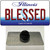 Blessed Illinois Wholesale Novelty Metal Hat Pin
