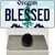 Blessed Oregon Wholesale Novelty Metal Hat Pin