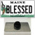 Blessed Maine Wholesale Novelty Metal Hat Pin