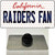 Raiders Fan California Wholesale Novelty Metal Hat Pin