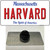 Harvard Massachusetts Wholesale Novelty Metal Hat Pin