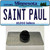 Saint Paul Minnesota State Wholesale Novelty Metal Hat Pin