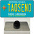 Taoseno Teal New Mexico Wholesale Novelty Metal Hat Pin