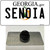 Senoia Georgia State Wholesale Novelty Metal Hat Pin