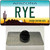 Rye Arizona Wholesale Novelty Metal Hat Pin