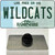 Wildcats New Hampshire Wholesale Novelty Metal Hat Pin