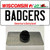 Badgers Wisconsin Wholesale Novelty Metal Hat Pin