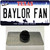 Baylor Fan Wholesale Novelty Metal Hat Pin