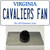 Cavaliers Fan Wholesale Novelty Metal Hat Pin