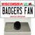 Badgers Fan Wholesale Novelty Metal Hat Pin