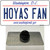 Hoyas Fan Wholesale Novelty Metal Hat Pin