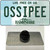 Ossipee New Hampshire Wholesale Novelty Metal Hat Pin Tag
