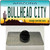 Bullhead City Arizona Wholesale Novelty Metal Hat Pin Tag