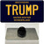 Trump Michigan Blue Wholesale Novelty Metal Hat Pin