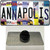 Annapolis Strip Art Wholesale Novelty Metal Hat Pin