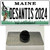 Desantis 2024 Maine Wholesale Novelty Metal Hat Pin