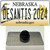 Desantis 2024 Nebraska Wholesale Novelty Metal Hat Pin