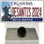 Desantis 2024 Oklahoma Wholesale Novelty Metal Hat Pin