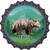 Wild One Bear Novelty Metal Bottle Cap Sign