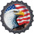 Eagle|American Flag Novelty Bottle Cap Sticker Decal