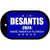 Desantis 2024 Blue Novelty Metal Dog Tag Necklace DT-14189