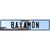 Bayamon Puerto Rico Novelty Metal European License Plate