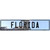 Florida Puerto Rico Novelty Metal European License Plate