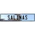 Salinas Puerto Rico Novelty Metal European License Plate