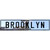 Brooklyn Puerto Rico Novelty Metal European License Plate