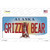 Grizzly Bear Alaska State Novelty Sticker Decal