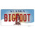 Bigfoot Alaska State Novelty Sticker Decal